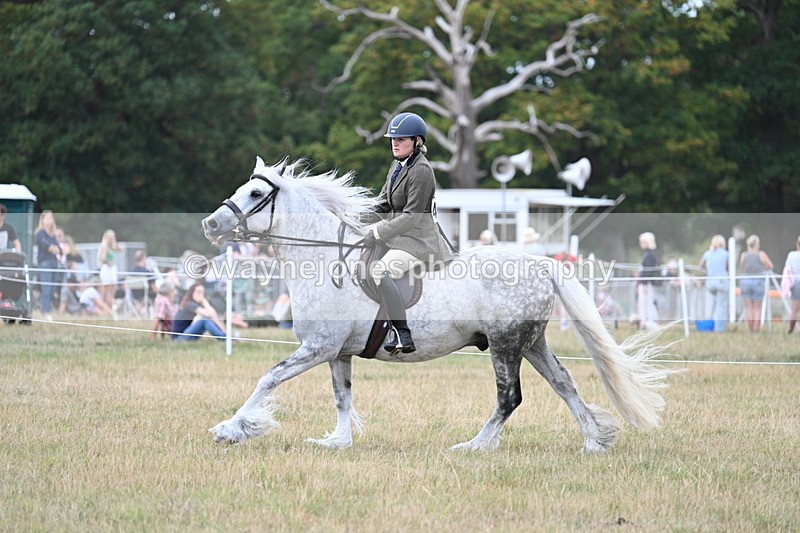 WJ7_5036 - Class 12 Ridden Cob