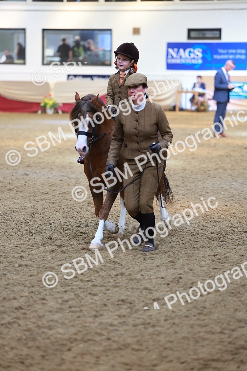 SBM_12606 - Class 103 - HOYS Veteran Qualifier - Ridden Pre Vet