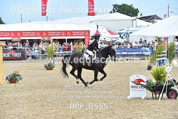 BPP_0555 - RHS 2019 Selection - *Just some random spectator shots so Lucky Dip if you are there!