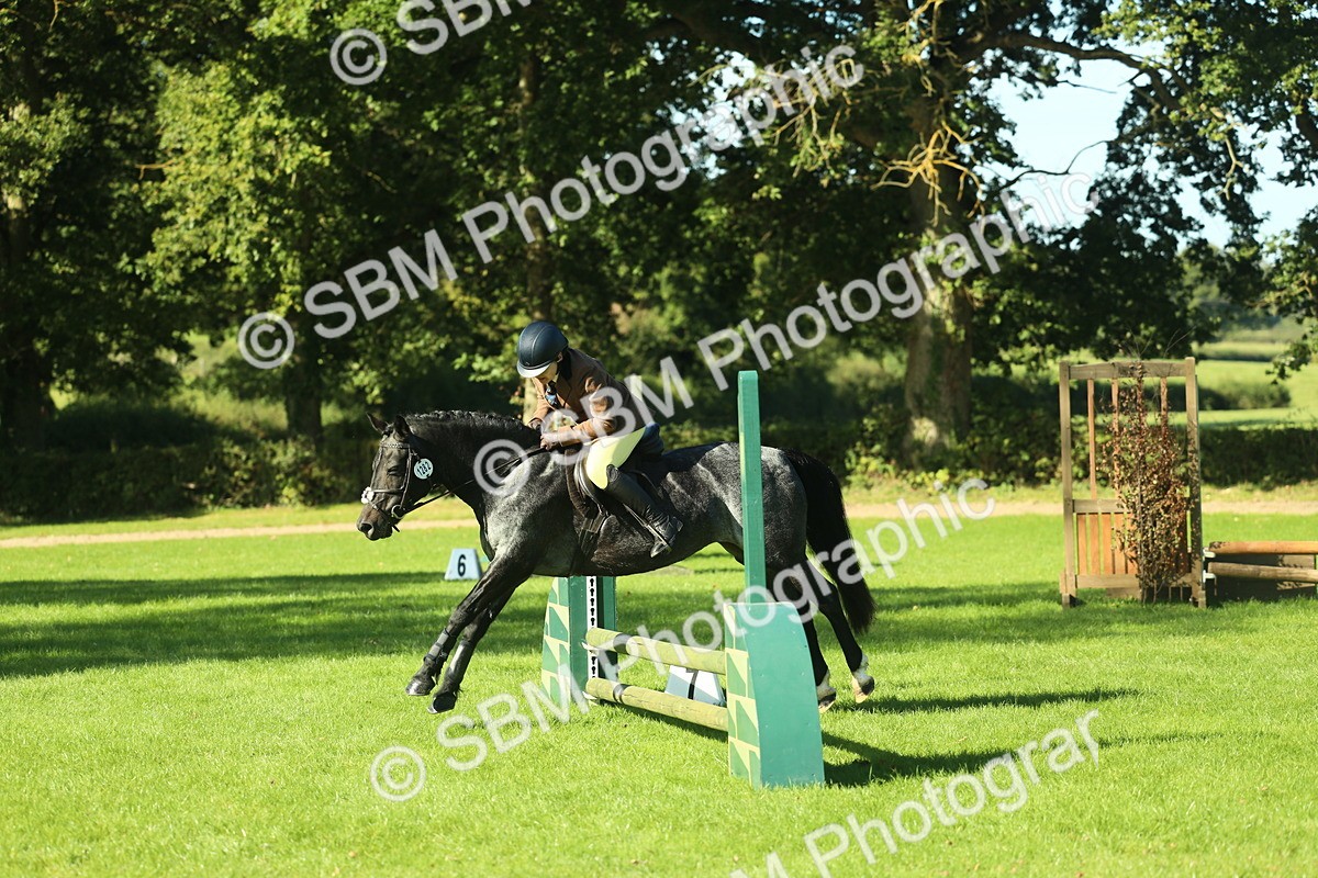 SBM_36468 - S29 - Novice & Newcomers Working Hunter Pony