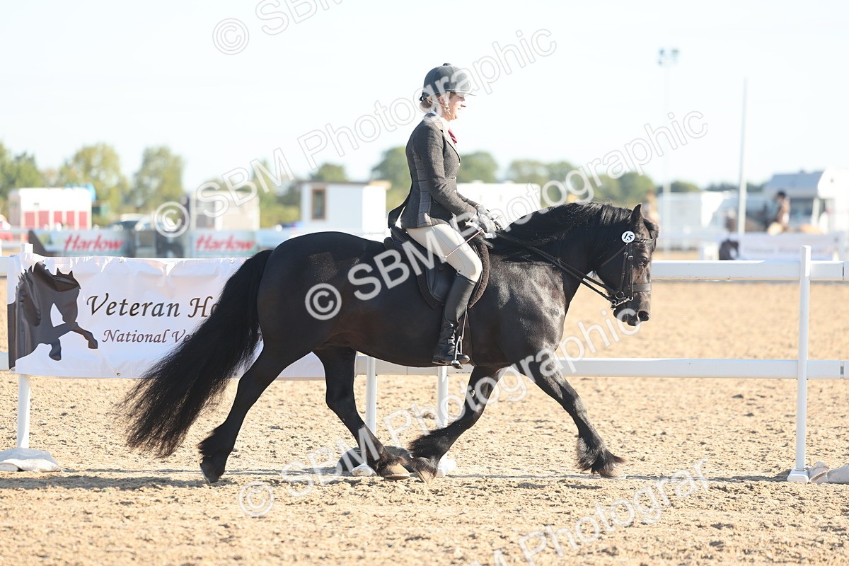 SBM_10976 - Class 302 - Ridden M&M Large Breeds
