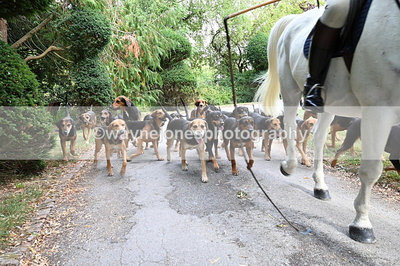 WJ6_3951 - Berks & Bucks - The Old farmhouse - Hound Exercise 20-08-25