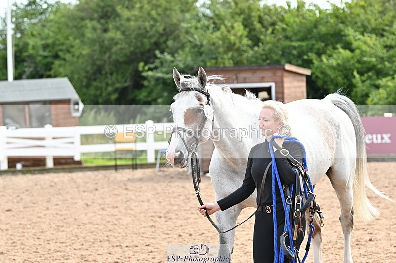 240717A-164353-03510 - Trot Up 4pm to 5pm