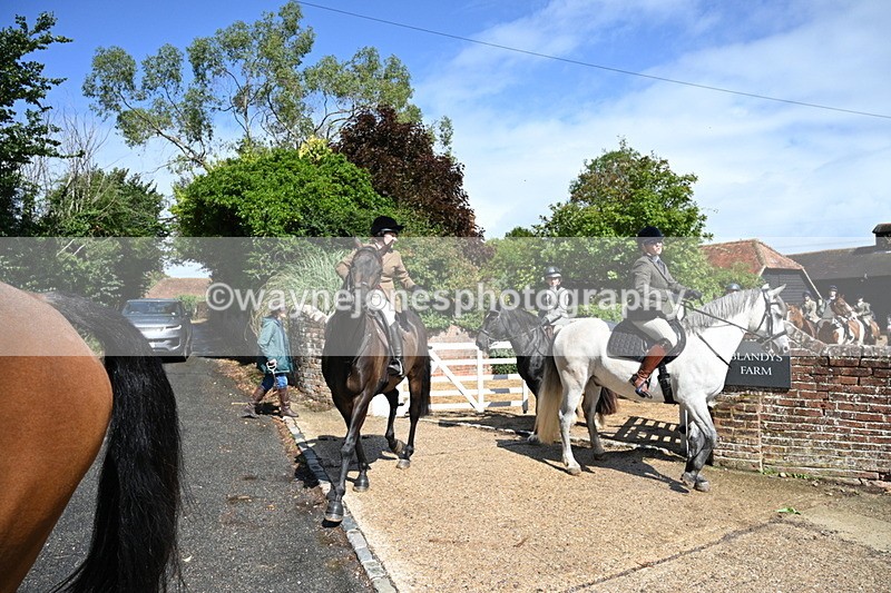 WJ7_7195 - Berks & Bucks at Blandy’s Farm 31-08-25