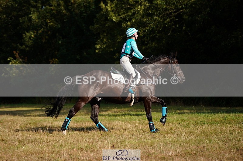 250803A-175950-18867 - S-869-Alice.Lamming-THE.DARK.HORSE.I