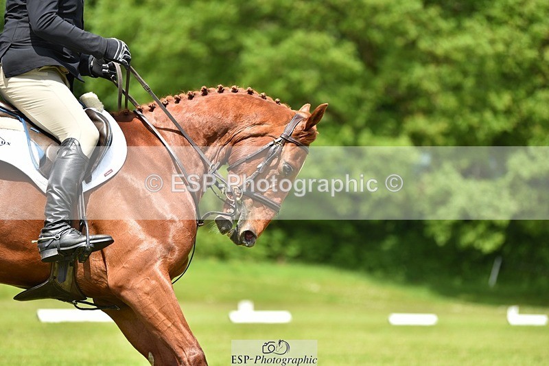 240523B-130900-02325 - 5 Year Old