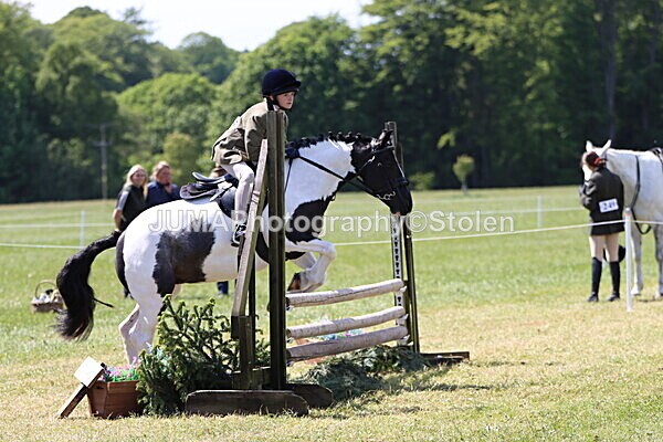 IMG_3802 - Working Hunter