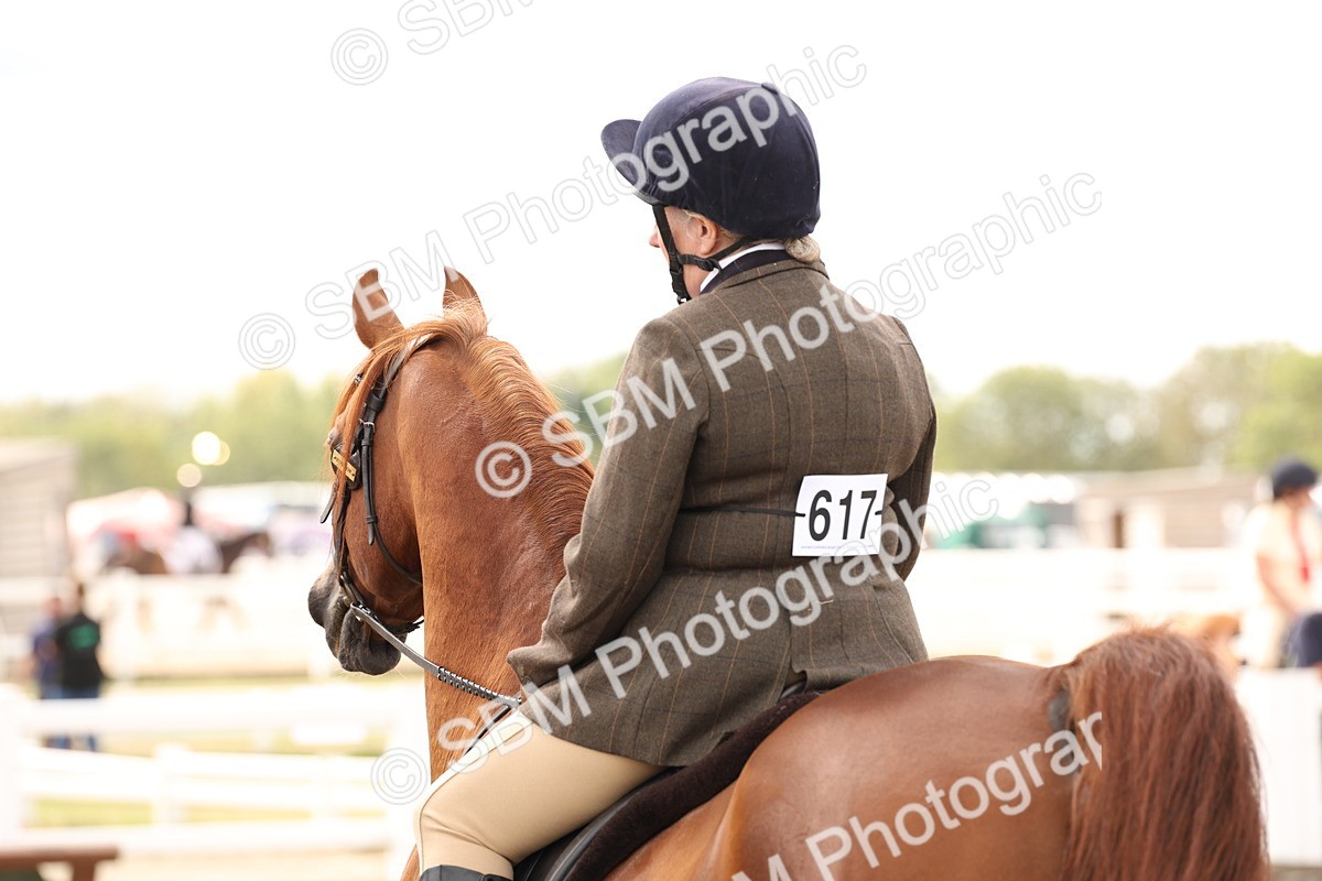 SBM_05214 - Class 56b -  Style & Performance - 50cm (20+)