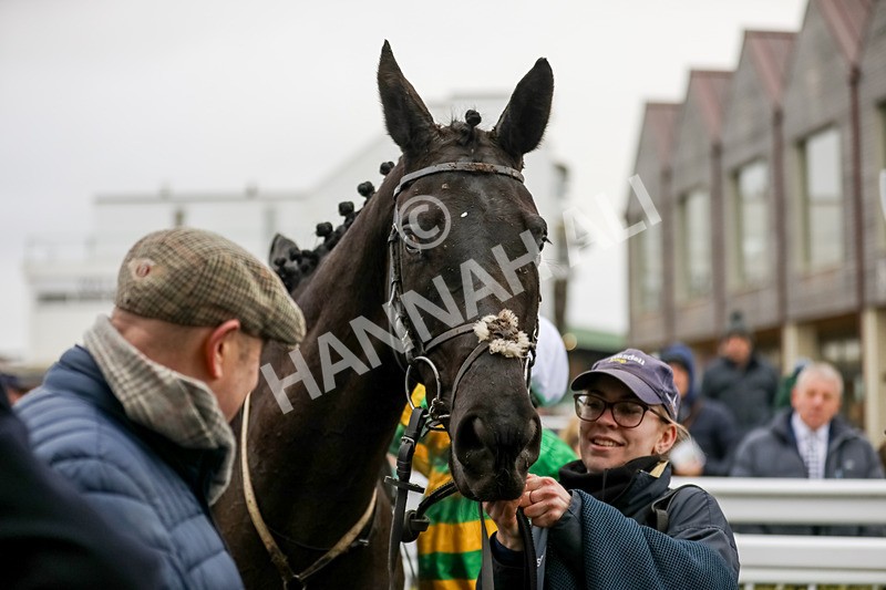 110124-Race 4-Hasthing-5139 - Race 4