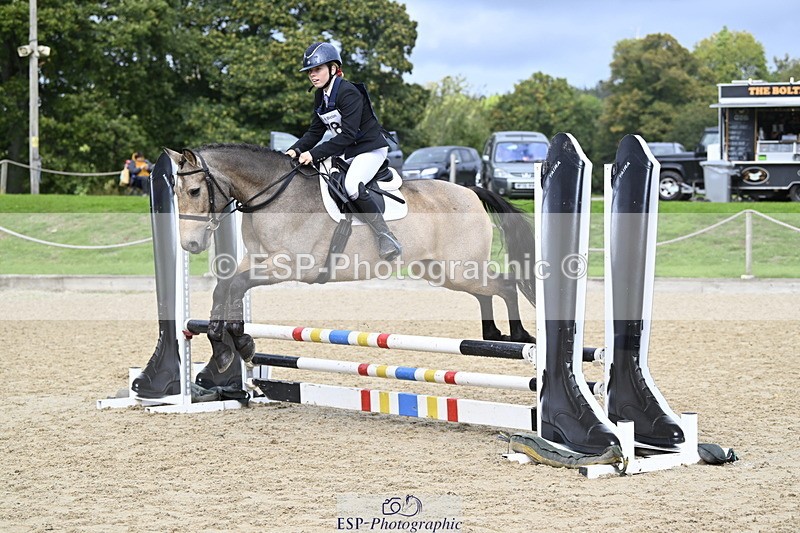 251005A-122314-03749 - Cls 08 Mini 70-75cm