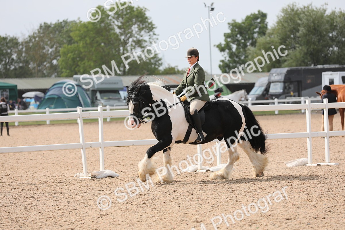 SBM_12822 - Class 307 Ridden Coloured Pony