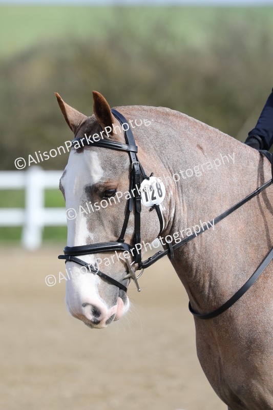 20260314-0311 - DR1 - Intro 1