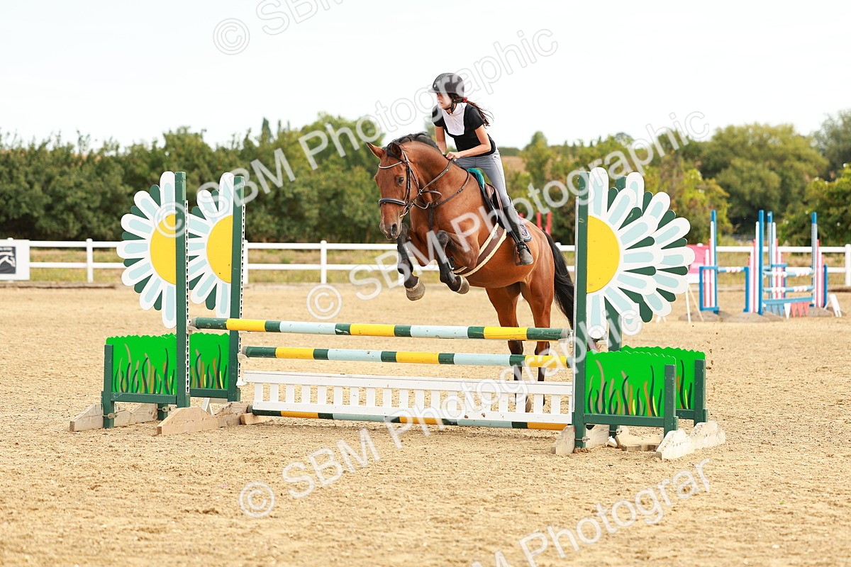 SBM_002284 - Class 9 - Senior British Novice - 90cm