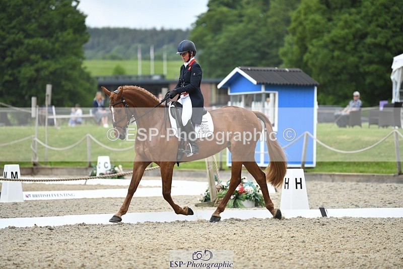 230525-125259-02049 - 112-BILLY_MAPLE-Kitty_King-WEDTrotUp+DR