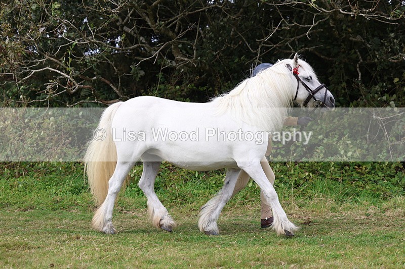 3E7A4592 - Class 16: Best Grass Kept