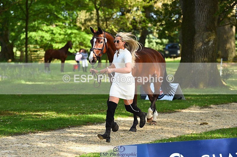 230524-171410-01371 - 165-LEV_IDWJ-Danielle_Frost-WEDTrotUp+DR