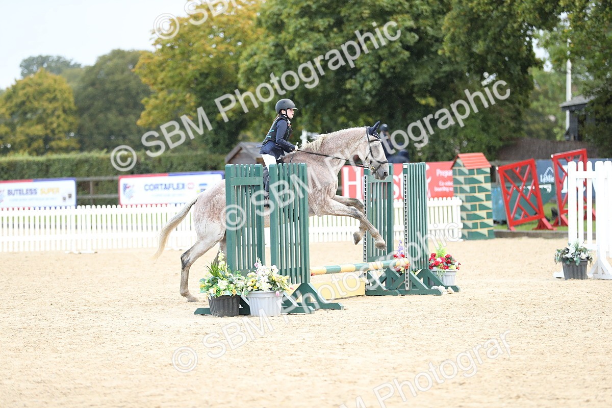 SBM_37231 - J20 - Junior Horse 50cm Championship