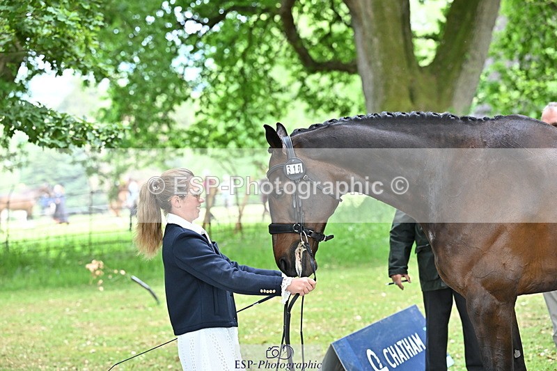 250521A-152406-00483 - B-310-Kitty.King-LISCARROW.FERNHILL