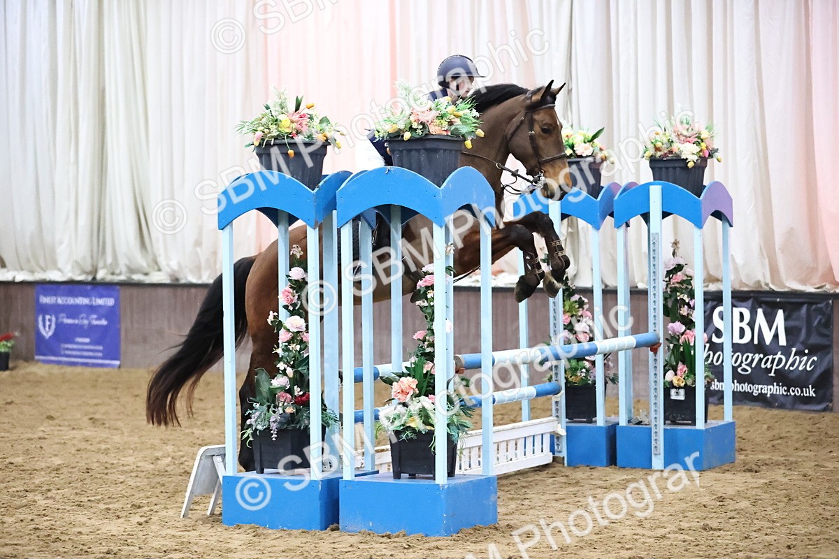 SBM_002039 - Class 8 - Senior British Novice - 90cm