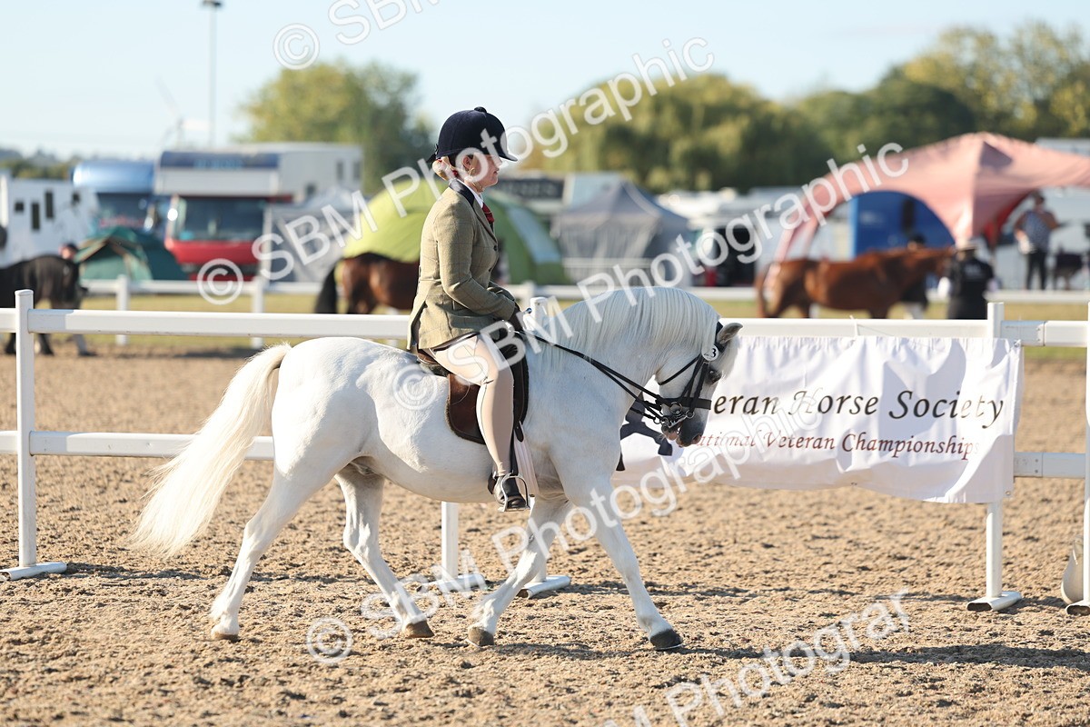 SBM_10887 - Class 301 - Ridden M&M Small Breeds