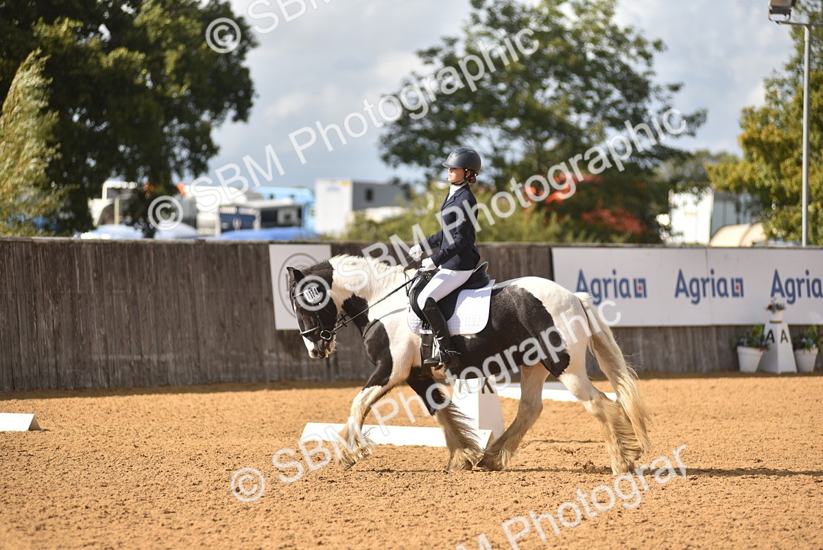 SBM_48848 - D22 - Junior Championship Intro 3