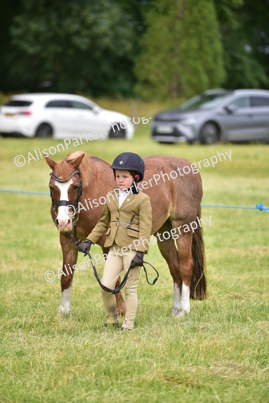 20260614-3682 - Class 15 - Prettiest Mare