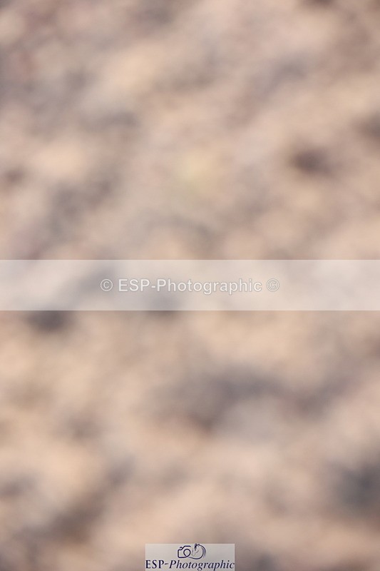 240210A-095325-00281 - Cls 15+16 Club and Schools 60cm