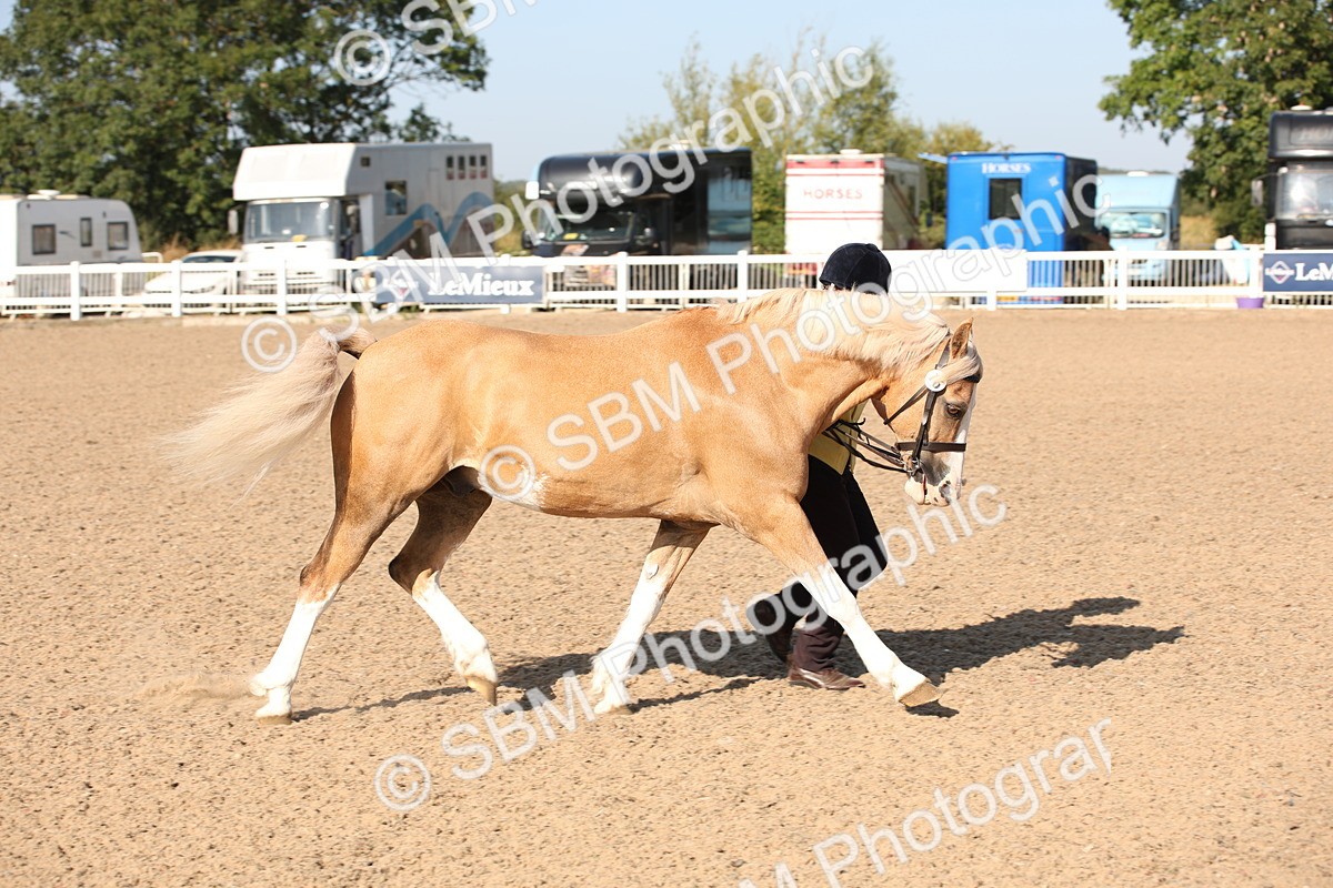 SBM_01448 - Class 15 IH Coloured