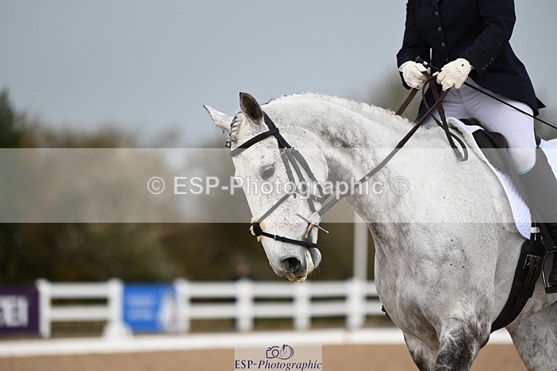 240323A-121752-01749 - DR Prelim 18