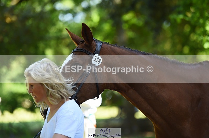 230524-152628-00272 - 328-GREENLOUGH_CROSS-Kelly_Mccarthy-maine-WEDTrotUp+DR