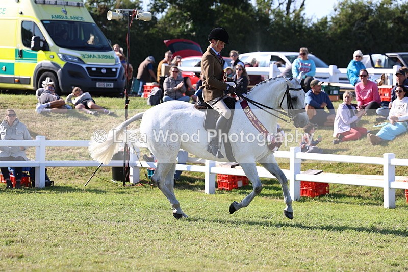 3E7A4248 - Supreme Championship