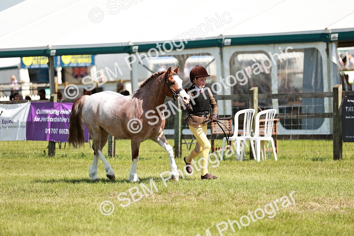 SBM_13529 - Class 108-109 - BSPS LIHS Open Gradle & Nursery Stakes