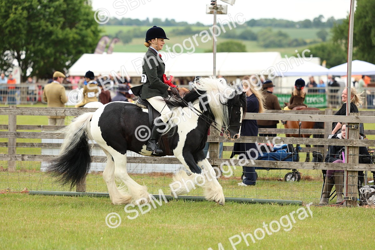 SBM_06264 - Class 39-41 TGCA In Hand and Ridden