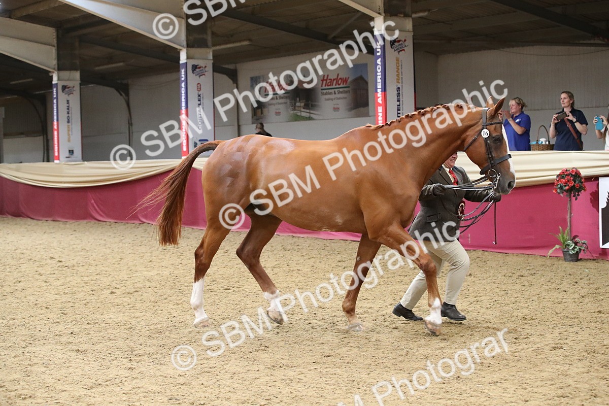 SBM_05828 - Class 9R - Regional IH Pre-Vet