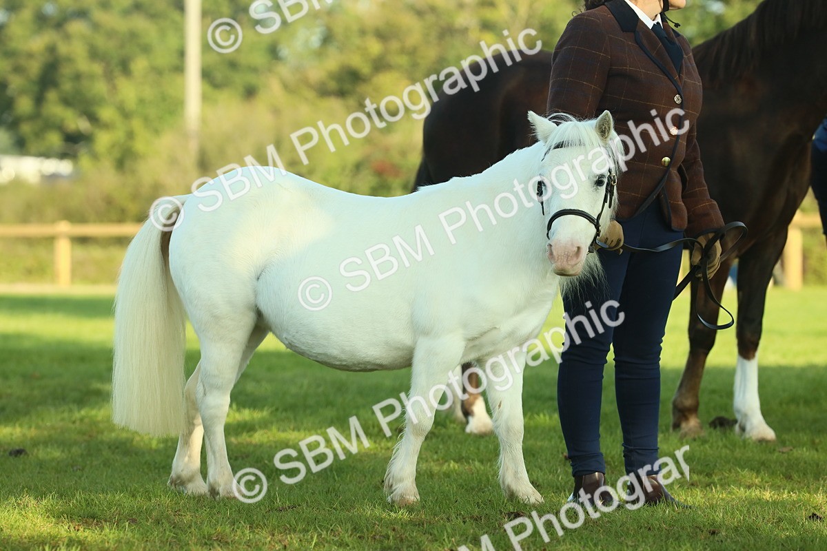 SBM_58624 - S37 - Starters In Hand Showing