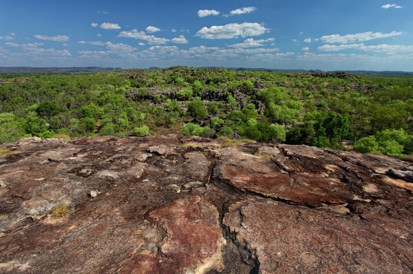  - Australian and American Landscapes