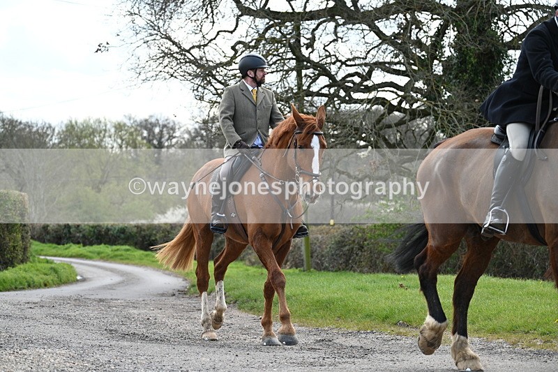 WJ7_9896 - Walk Home