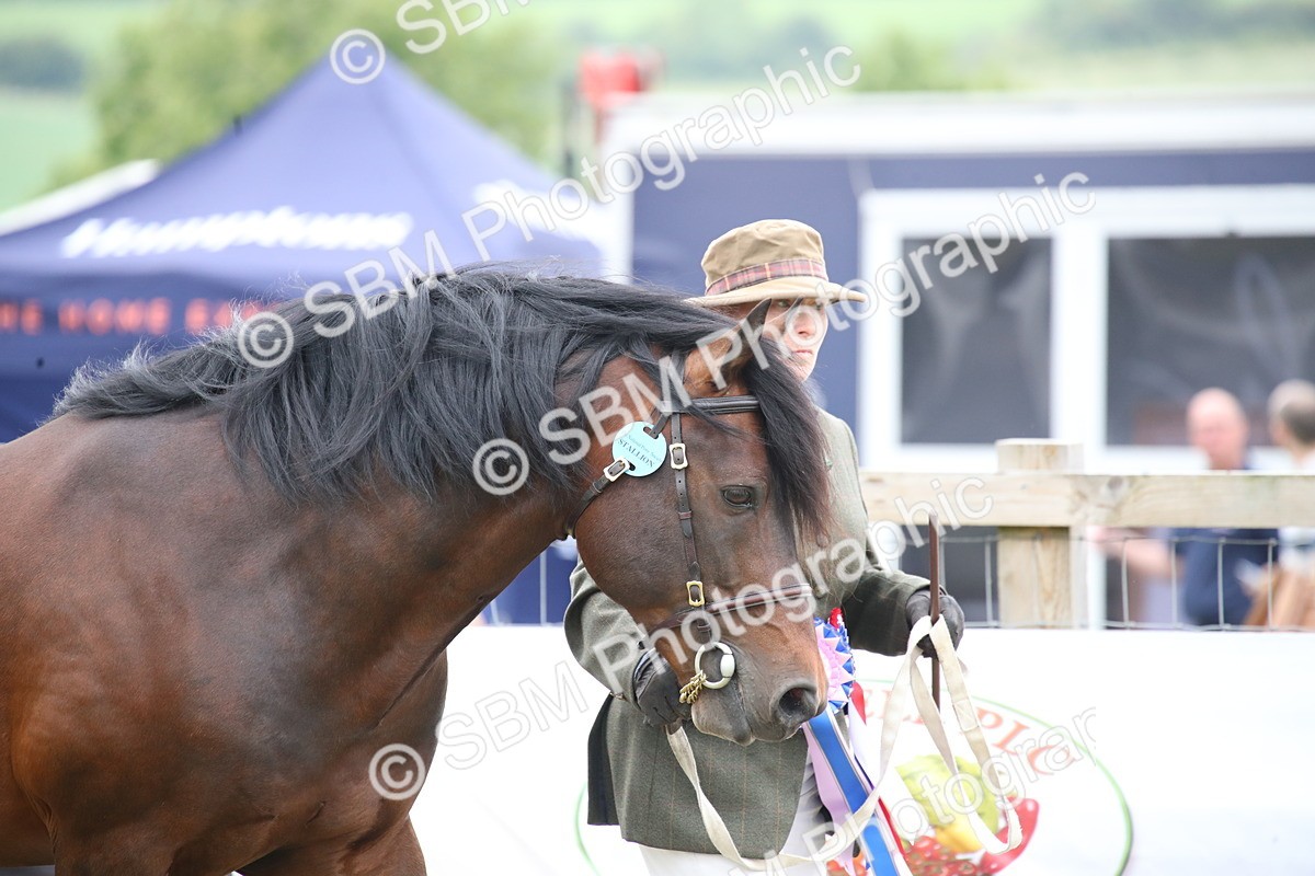 SBM_09723 - Ch 50 - Price Family Supreme In Hand