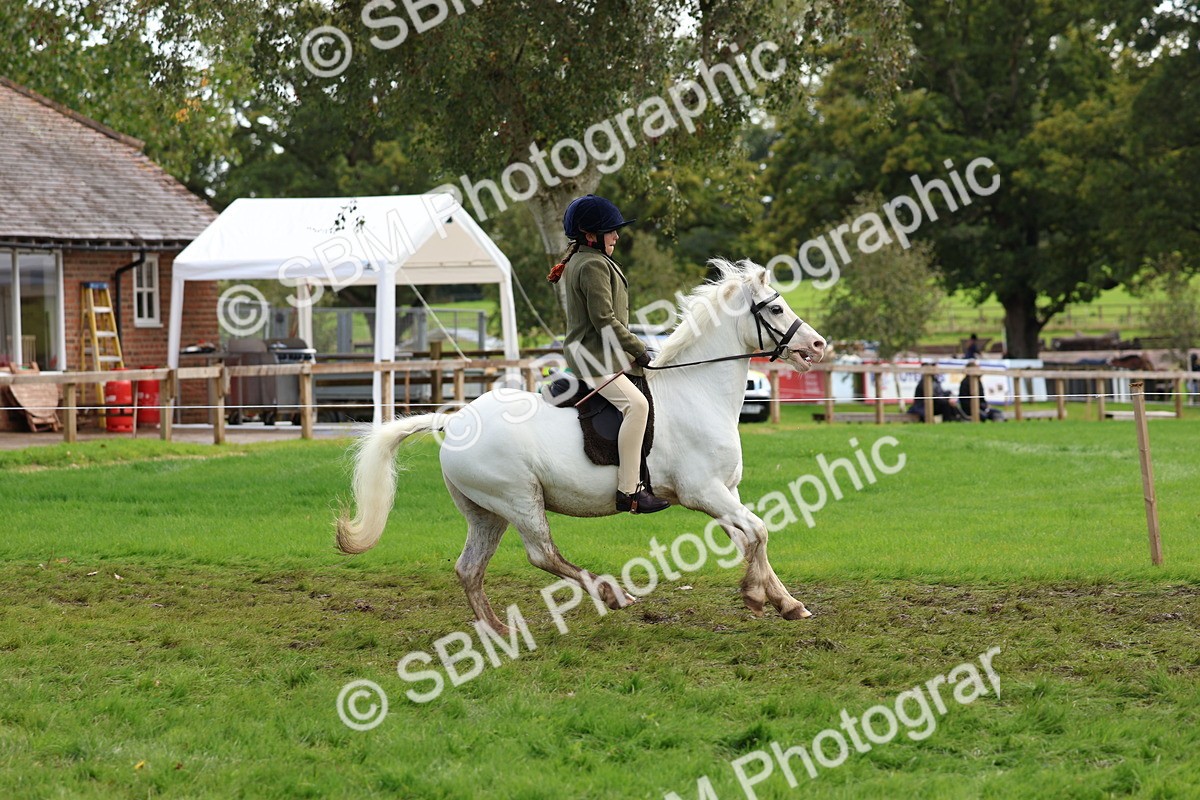 SBM_45210 - S27 - Young Veteran Ridden