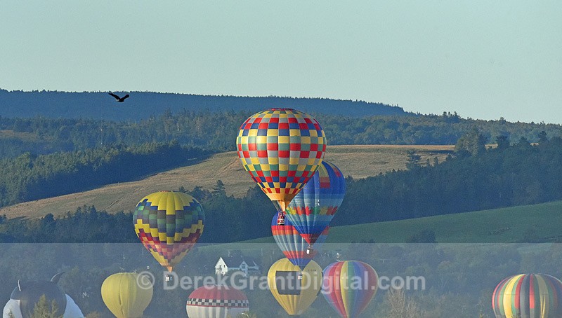 Atlantic International Balloon Festival Sussex New Brunswick Canada - Atlantic International Balloon Fiesta