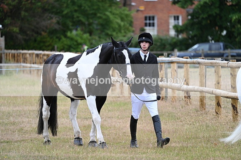 WJ7_9053 - Class 4a Prettiest Mare 14.2hh and over