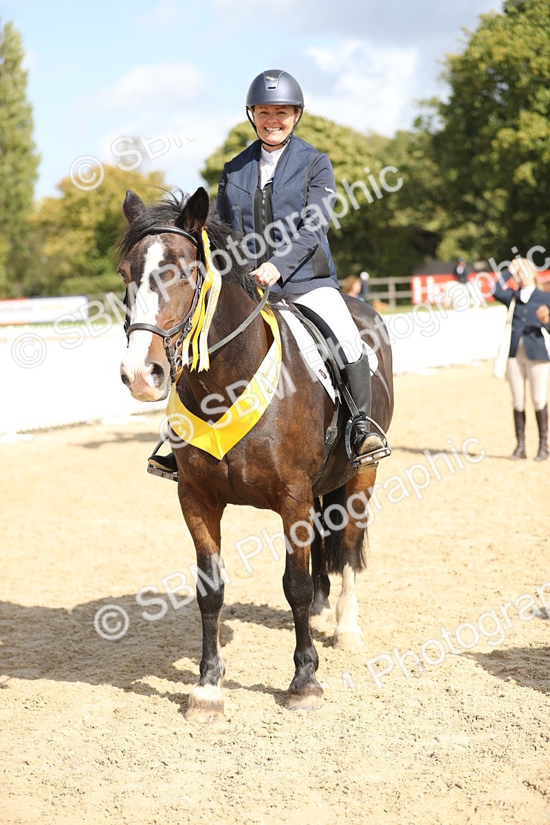SBM_06521 - J29 - Senior Horse & Pony 65cm Championship