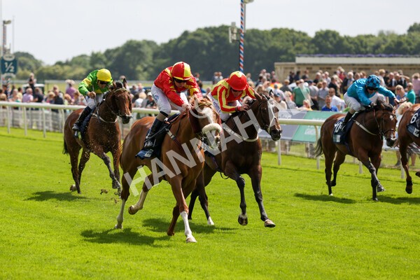 yr10062022r3-37 - Race 3 3.00pm British EBF supporting Racing with Pride Fillies' Handicap
