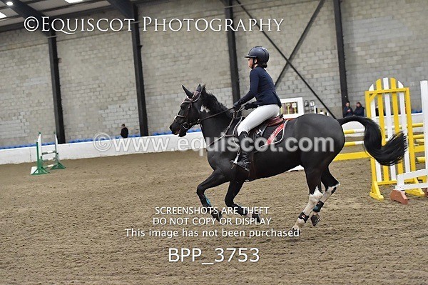 BPP_3753 - FRI CLASS 21 BR NOVICE/90CM