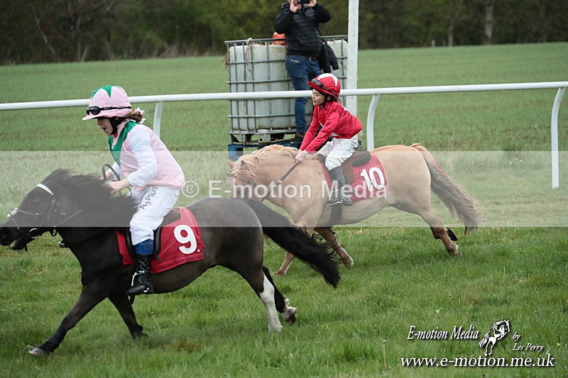 SHETPR 210425 211 - Shetland Ponies Paxford Races 21/04/25