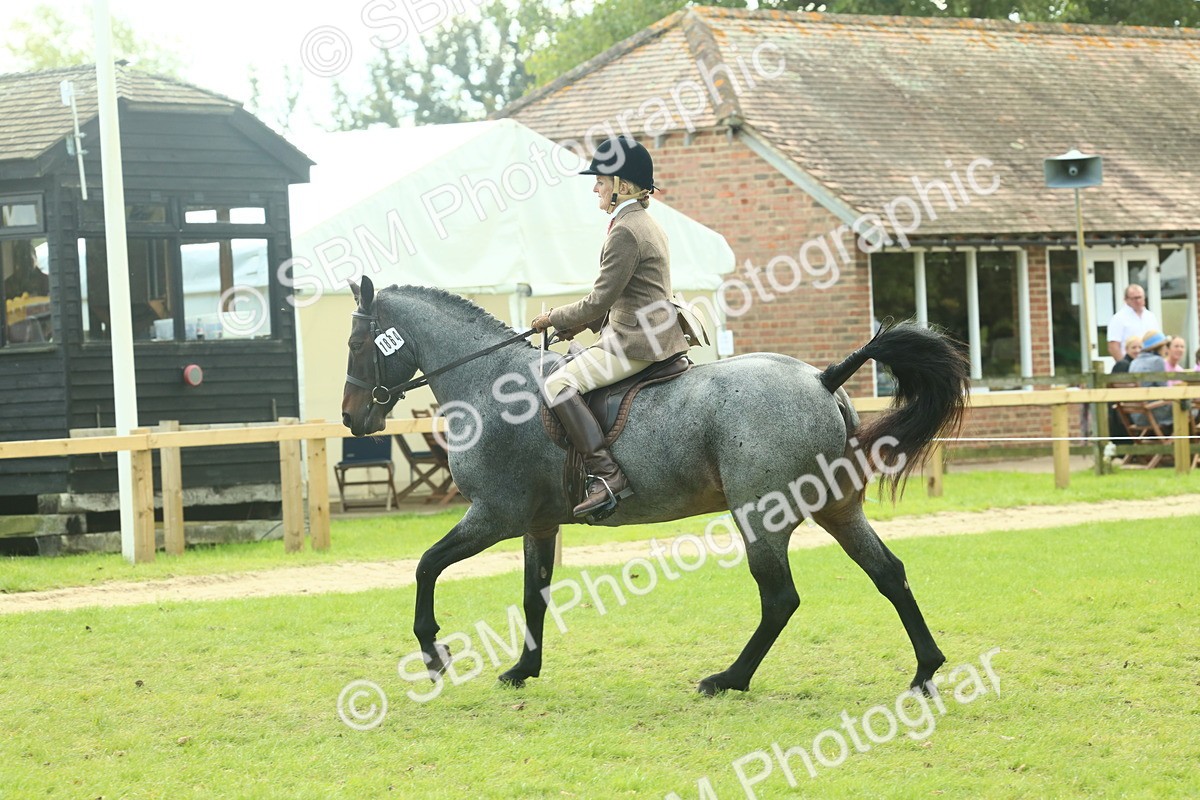 SBM_62616 - S63 - Other Coloured Horse Ridden