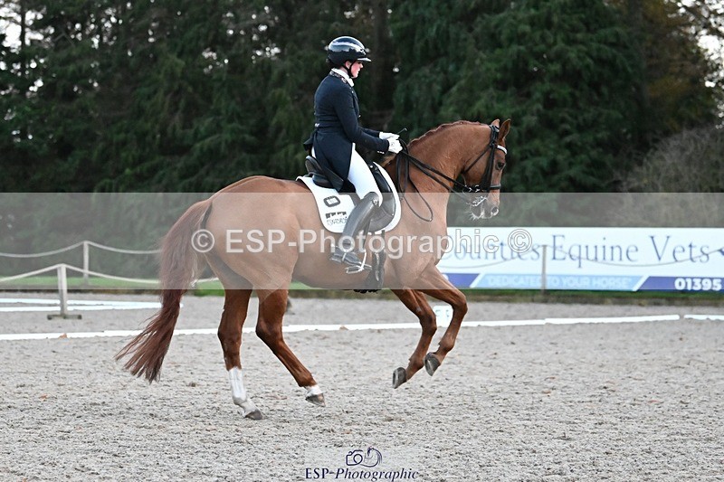 231110-164029-02728 - Cls 14 FEI Grand Prix