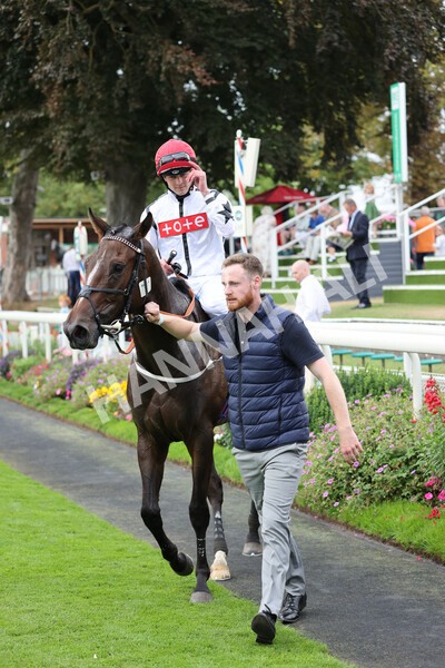 yr04092022r4-35 - Race 4 3.30pm Federation of Bloodstock Agents Nursery Handicap