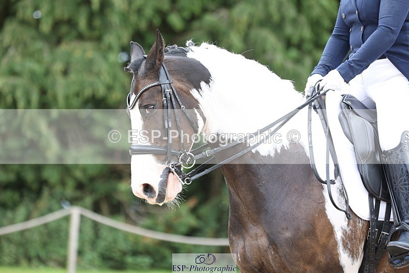 230813-151031-07991 - Cls 11 Elem Bronze 14.30 to End