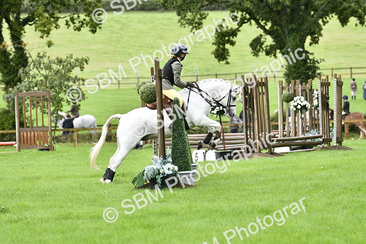 SBM_35474 - S30 - Nursery Stakes Working Hunter Pony